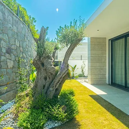Romeo With Private Pool فيلة Gokcebel (Bodrum)